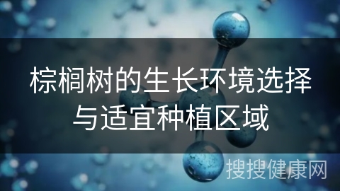 棕榈树的生长环境选择与适宜种植区域