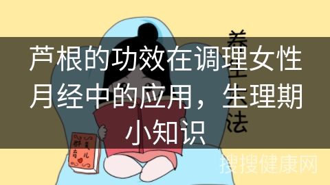 芦根的功效在调理女性月经中的应用，生理期小知识