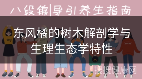 东风橘的树木解剖学与生理生态学特性