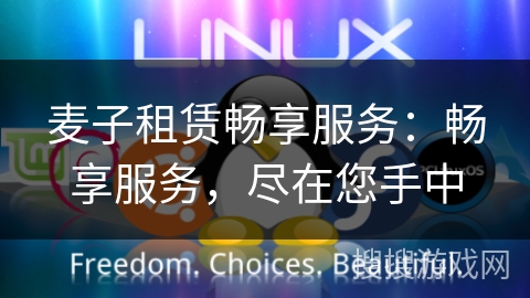 麦子租赁畅享服务:畅享服务,尽在您手中 麦子租赁畅享服务:畅享服务,尽在您手中