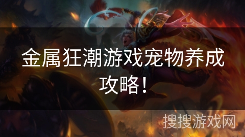 金属狂潮游戏宠物养成攻略! 金属狂潮游戏宠物养成攻略!