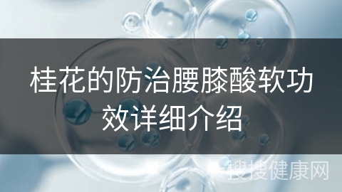 桂花的防治腰膝酸软功效详细介绍