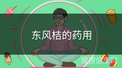 东风桔的药用