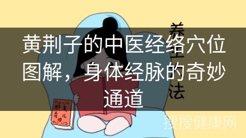 黄荆子的中医经络穴位图解，身体经脉的奇妙通道