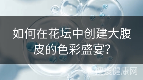 如何在花坛中创建大腹皮的色彩盛宴？