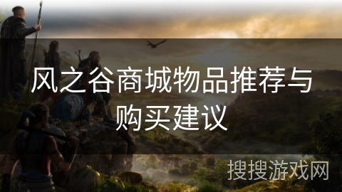 风之谷商城物品推荐与购买建议