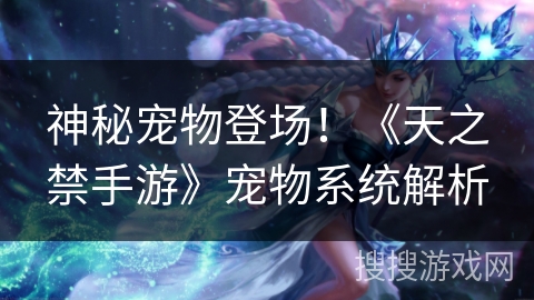 神秘宠物登场!《天之禁手游》宠物系统解析 神秘宠物登场!《天之禁手游》宠物系统解析