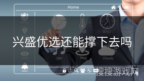 兴盛优选还能撑下去吗 兴盛优选还能撑下去吗