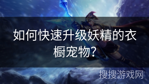 如何快速升级妖精的衣橱宠物？