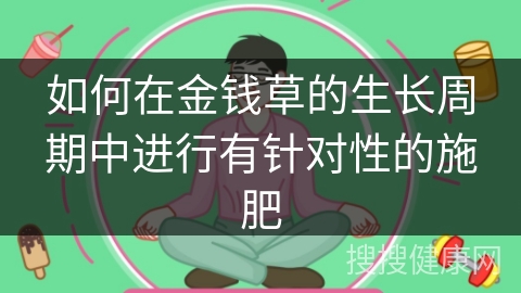 如何在金钱草的生长周期中进行有针对性的施肥