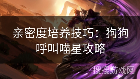 亲密度培养技巧:狗狗呼叫喵星攻略 亲密度培养技巧:狗狗呼叫喵星攻略