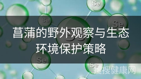 菖蒲的野外观察与生态环境保护策略