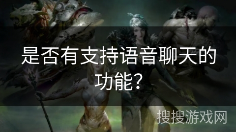 是否有支持语音聊天的功能?