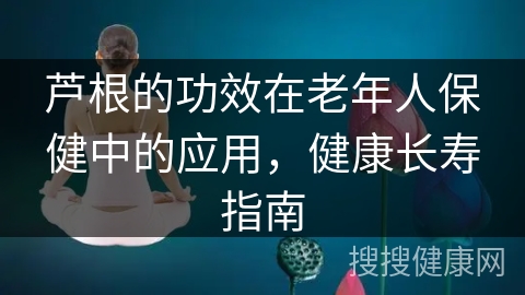 芦根的功效在老年人保健中的应用，健康长寿指南