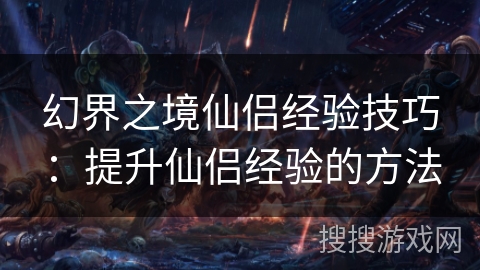 幻界之境仙侣经验技巧:提升仙侣经验的方法