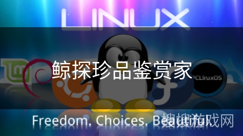 鲸探珍品鉴赏家