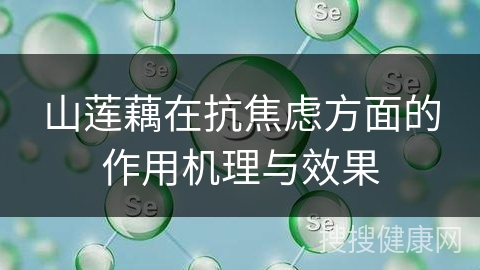 山莲藕在抗焦虑方面的作用机理与效果