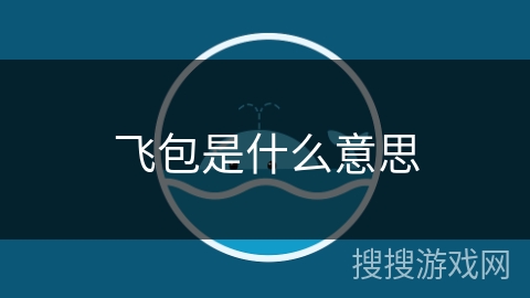 飞包是什么意思 飞包是什么意思