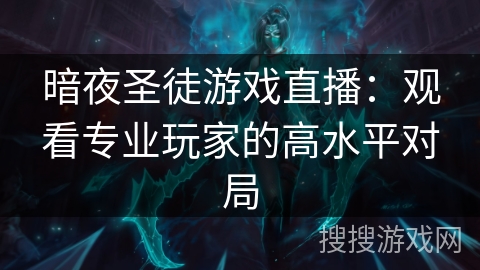 暗夜圣徒游戏直播:观看专业玩家的高水平对局 暗夜圣徒游戏直播:观看专业玩家的高水平对局