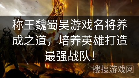称王魏蜀吴游戏名将养成之道，培养英雄打造最强战队！