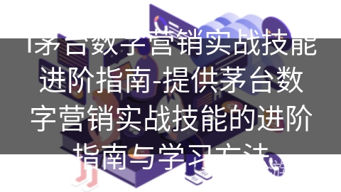 i茅台数字营销实战技能进阶指南-提供茅台数字营销实战技能的进阶指南与学习方法