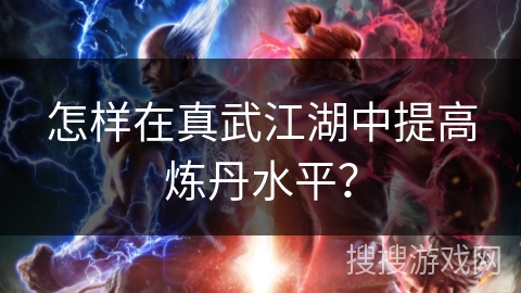 怎样在真武江湖中提高炼丹水平？