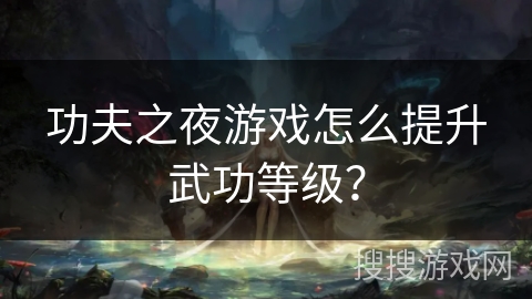功夫之夜游戏怎么提升武功等级？