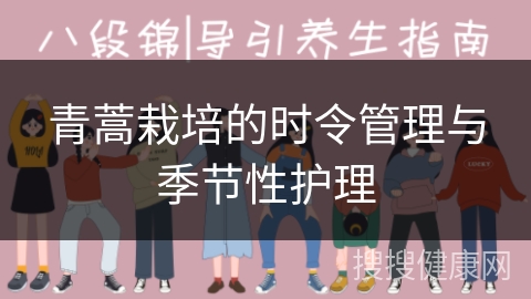 青蒿栽培的时令管理与季节性护理