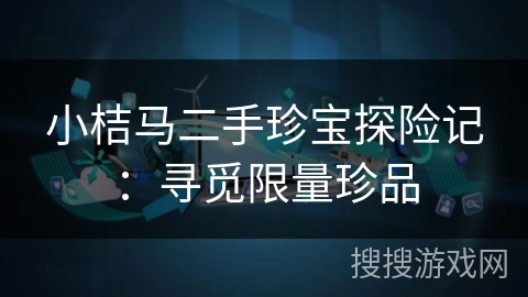 小桔马二手珍宝探险记:寻觅限量珍品 小桔马二手珍宝探险记:寻觅限量珍品