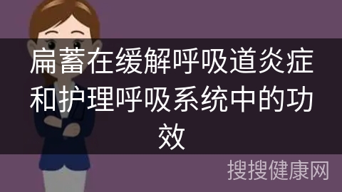 扁蓄在缓解呼吸道炎症和护理呼吸系统中的功效