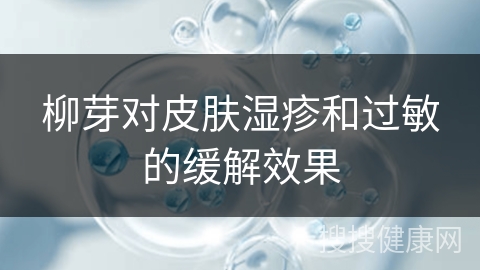 柳芽对皮肤湿疹和过敏的缓解效果