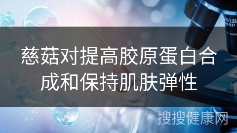 慈菇对提高胶原蛋白合成和保持肌肤弹性