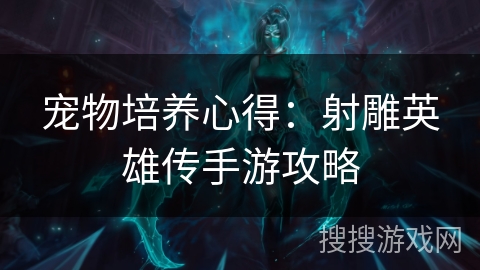 宠物培养心得:射雕英雄传手游攻略 宠物培养心得:射雕英雄传手游攻略