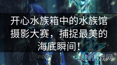 开心水族箱中的水族馆摄影大赛，捕捉最美的海底瞬间！