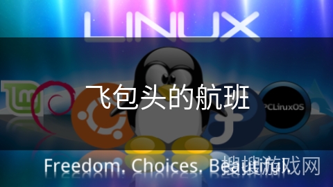 飞包头的航班 飞包头的航班