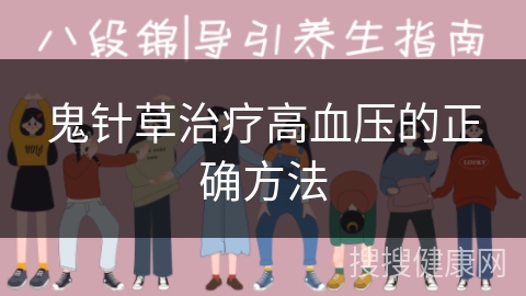 鬼针草治疗高血压的正确方法