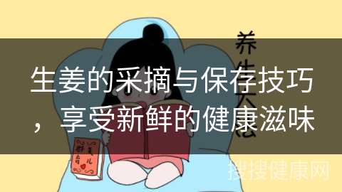 生姜的采摘与保存技巧，享受新鲜的健康滋味