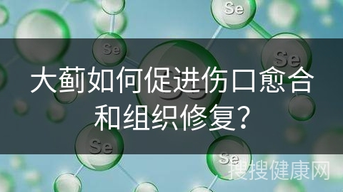 大蓟如何促进伤口愈合和组织修复？