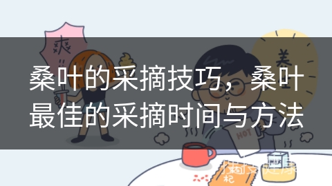 桑叶的采摘技巧，桑叶最佳的采摘时间与方法