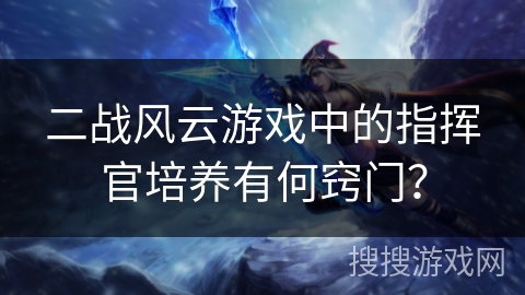二战风云游戏中的指挥官培养有何窍门？
