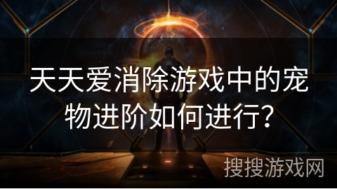 天天爱消除游戏中的宠物进阶如何进行？