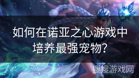 如何在诺亚之心游戏中培养最强宠物? 如何在诺亚之心游戏中培养最强宠物?