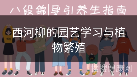 西河柳的园艺学习与植物繁殖