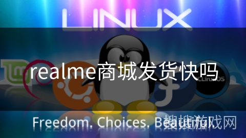 realme商城发货快吗 realme商城发货快吗
