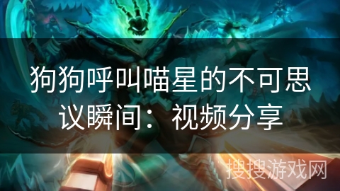 狗狗呼叫喵星的不可思议瞬间:视频分享 狗狗呼叫喵星的不可思议瞬间:视频分享