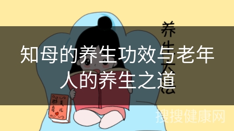 知母的养生功效与老年人的养生之道