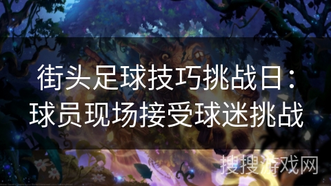 街头足球技巧挑战日:球员现场接受球迷挑战 街头足球技巧挑战日:球员现场接受球迷挑战