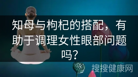 知母与枸杞的搭配，有助于调理女性眼部问题吗？