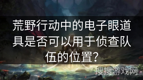 荒野行动中的电子眼道具是否可以用于侦查队伍的位置? 荒野行动中的电子眼道具是否可以用于侦查队伍的位置?