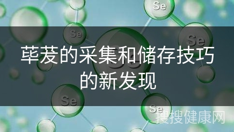 荜茇的采集和储存技巧的新发现